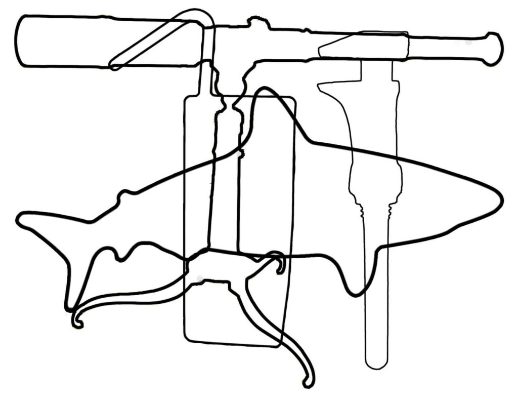 Poppelreuter test visual agnosia