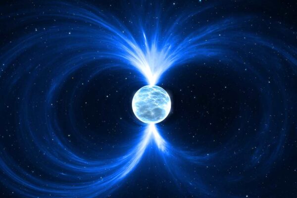 magnetoreception