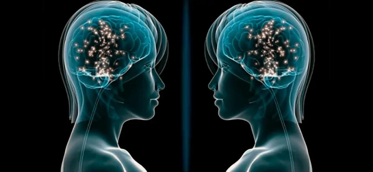Mirror neuron system