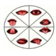 Activities for neuropsychological rehabilitation in patients with Broca's aphasia