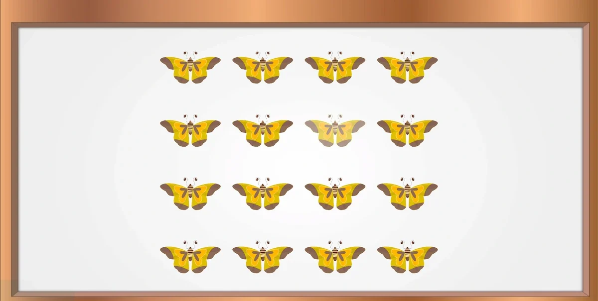NeuronUP Activities The First Flutter