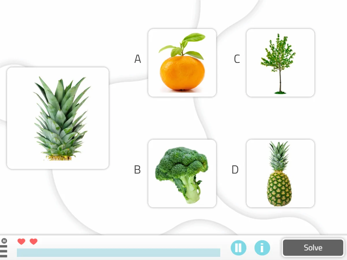 NeuronUP Activities - Parts of objects