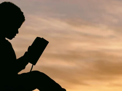 Intervention for Minors with High Intellectual Abilities
