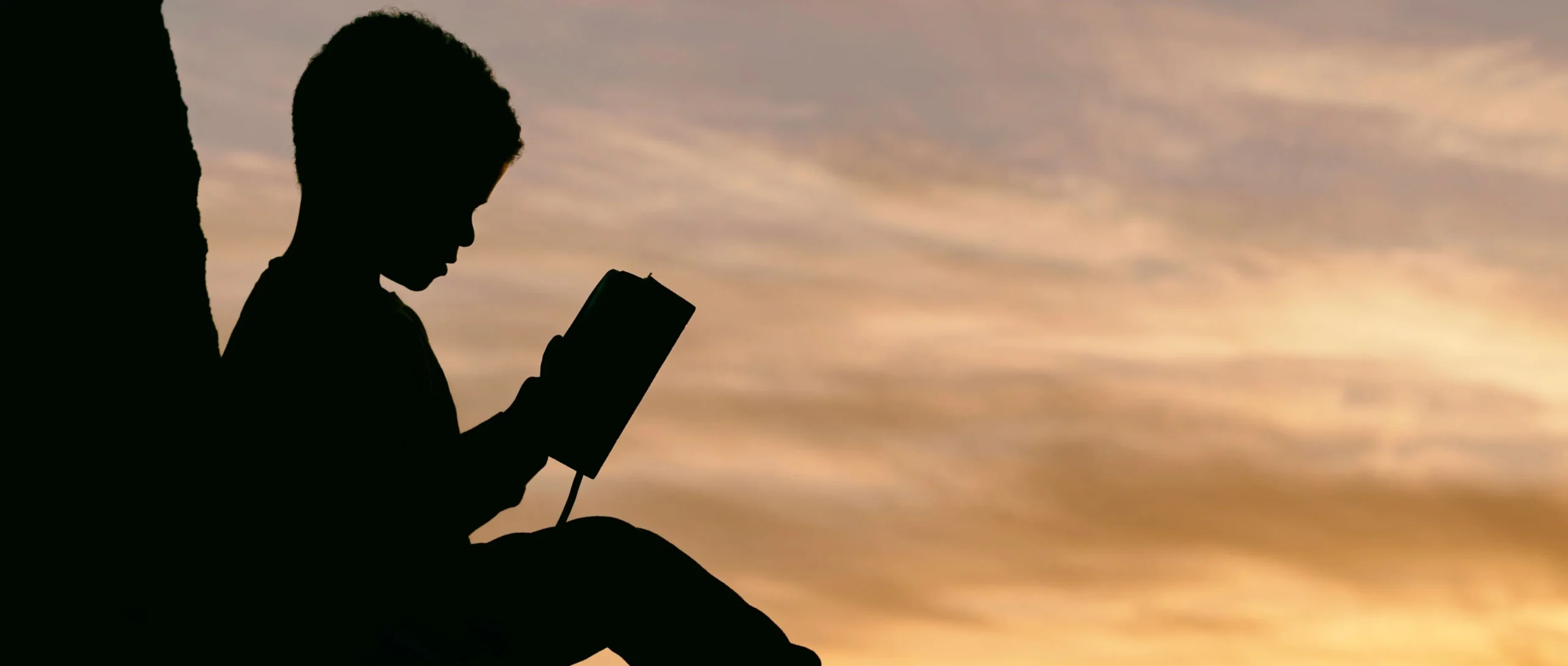 Intervention for Minors with High Intellectual Abilities