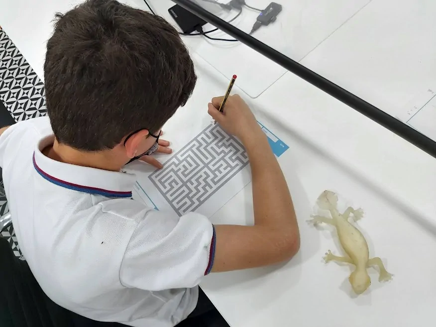 Child working on planning and sustained attention with the NeuronUP activity "Labyrinth".