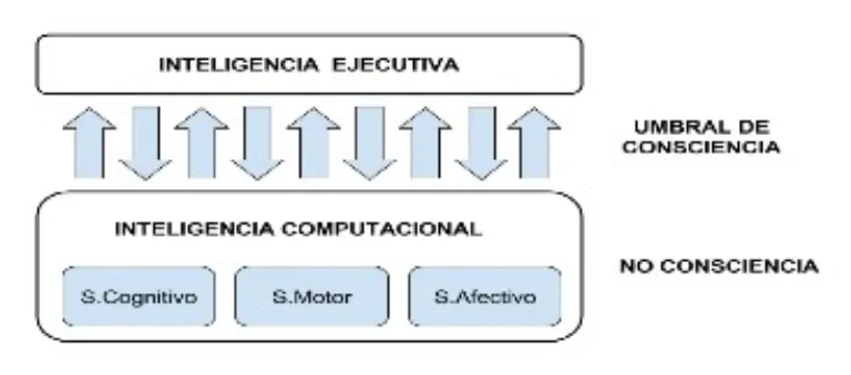 executive functions. Executive intelligence VS computational intelligence