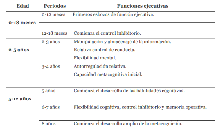 executive functions. Development of executive functions in early childhood and primary stages