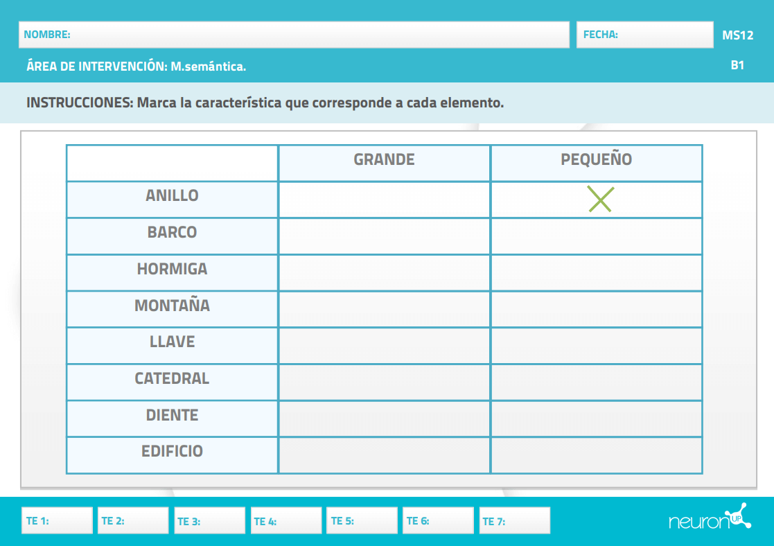 cognitive stimulation exercises. NeuronUP activity match characteristic - item