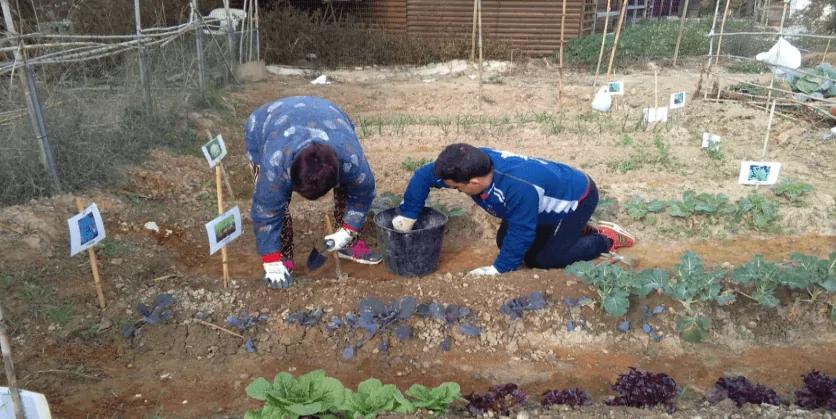 Two users working in the garden