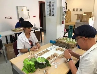 FUNDOWN user working 