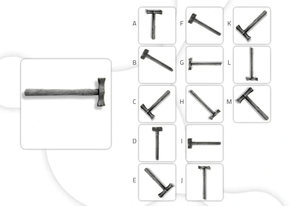 Worksheet to work on gnosias - Identical objects advanced level