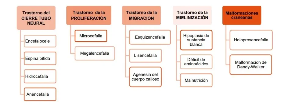 Figure 1: diagram of the different early-onset neurodevelopmental disorders