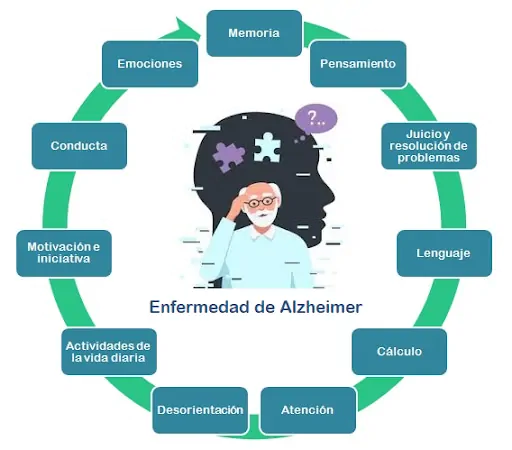 Alzheimer's detection indicators