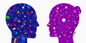 sexual brain