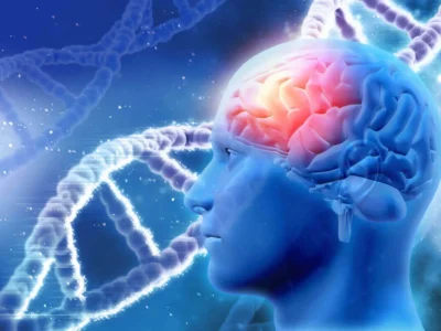 Traumatic brain injury and its neuropsychological rehabilitation in executive functions