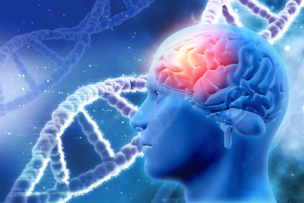 Traumatic brain injury and its neuropsychological rehabilitation in executive functions