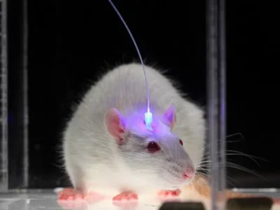 What is optogenetics?