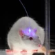 What is optogenetics?