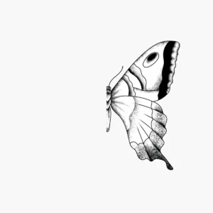 Hemispatial neglect: Rehabilitation of hemispatial neglect. Butterfly on the right side.