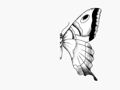 Hemispatial neglect: Rehabilitation of hemispatial neglect. Butterfly on the right side.