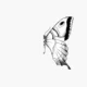 Hemispatial neglect: Rehabilitation of hemispatial neglect. Butterfly on the right side.