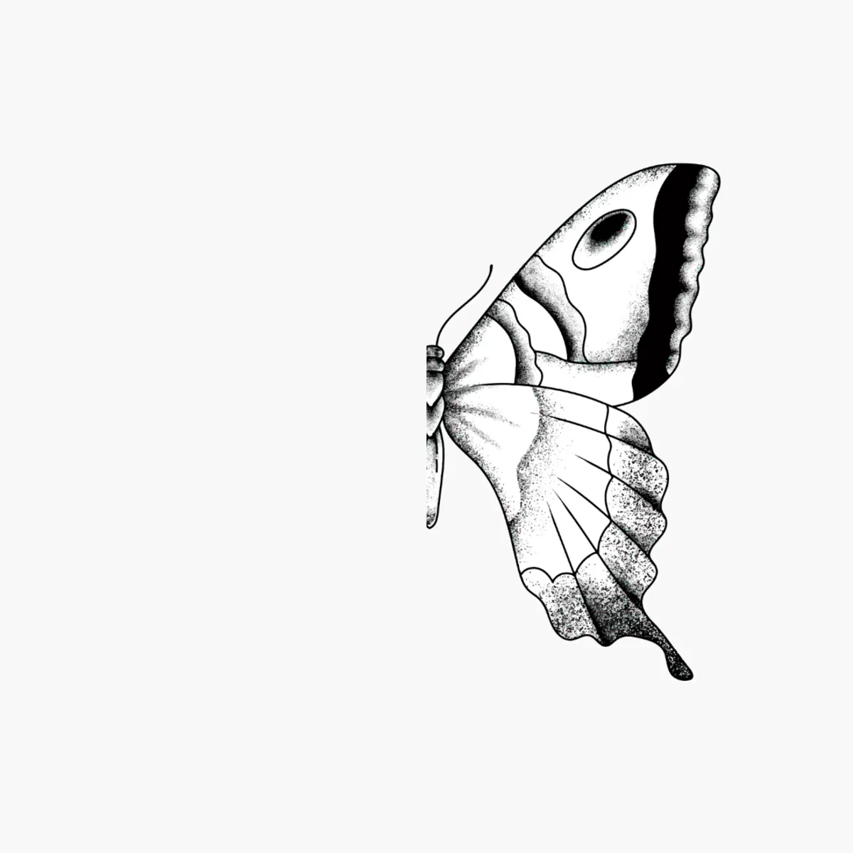 Hemispatial neglect: Rehabilitation of hemispatial neglect. Butterfly on the right side.