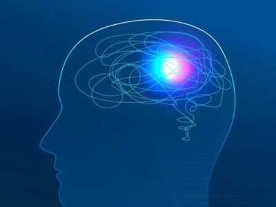 Memory and its systems: a non-unitary concept. Brain image