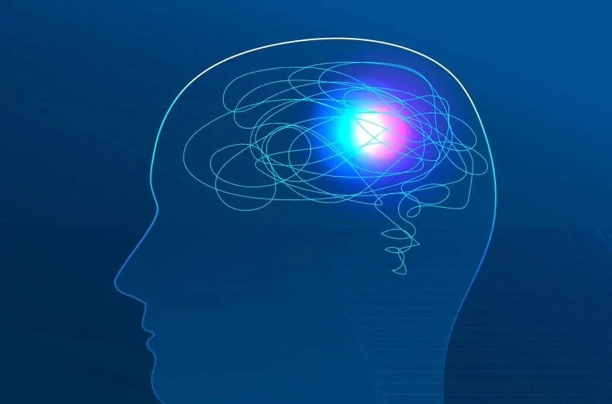 Memory and its systems: a non-unitary concept. Brain image