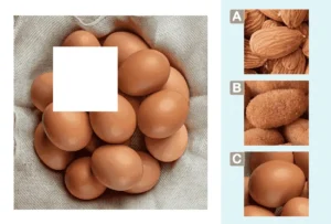 Worksheet for working on visual gnoses in children: Complete the image.