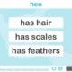 NeuronUP Activities - What is Each Thing Like