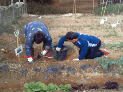 How does a Down syndrome foundation operate? Two FUNDOWN patients working in the garden.