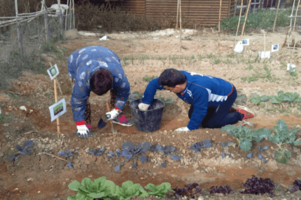 How does a Down syndrome foundation operate? Two FUNDOWN patients working in the garden.