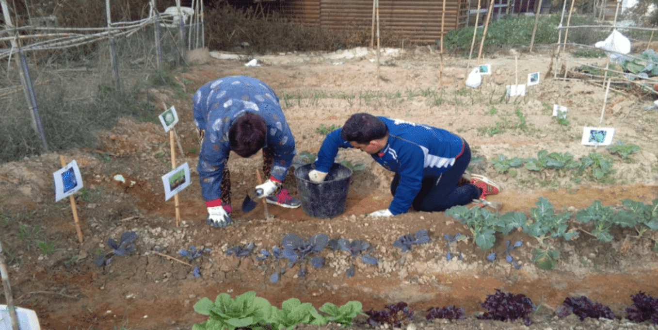 How does a Down syndrome foundation operate? Two FUNDOWN patients working in the garden.