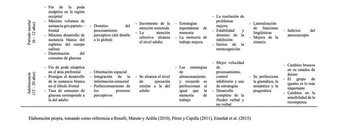 Neurodevelopmental disorders and their impact on cognitive functions