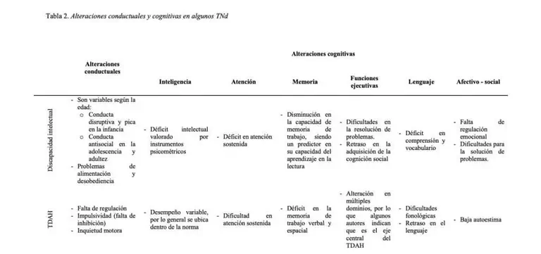 Table on neurodevelopment