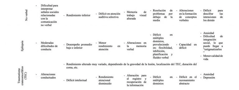 Table on neurodevelopment