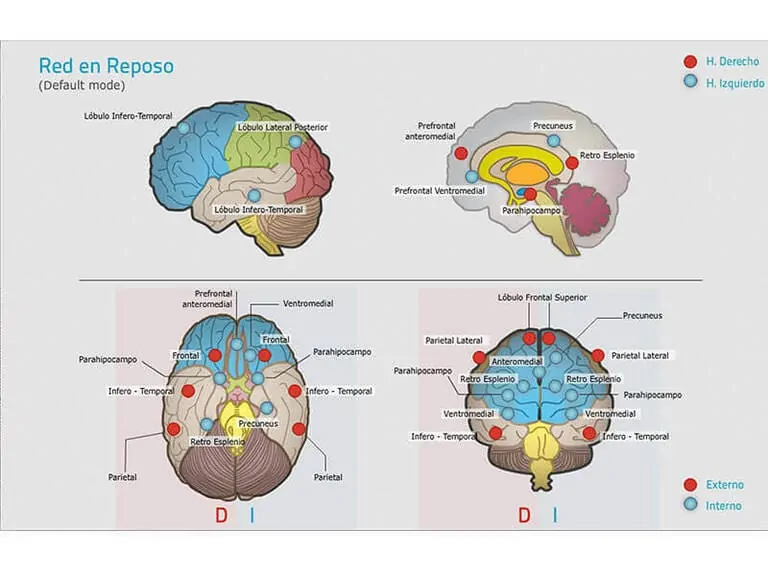 What is attention? Definition, problems and activities to work on it