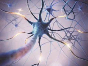Surviving neurons. The importance of early neurorehabilitation in cases of stroke