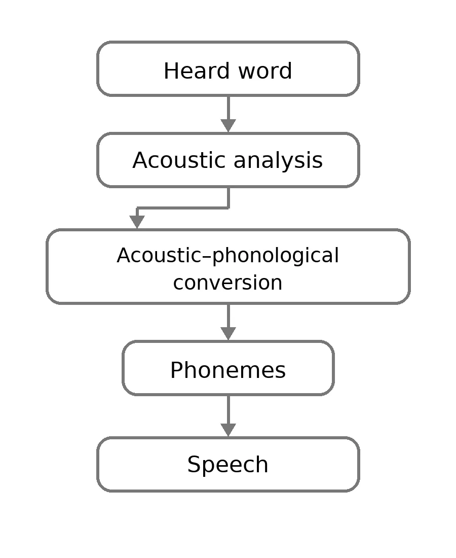 Repetition processes Illustration