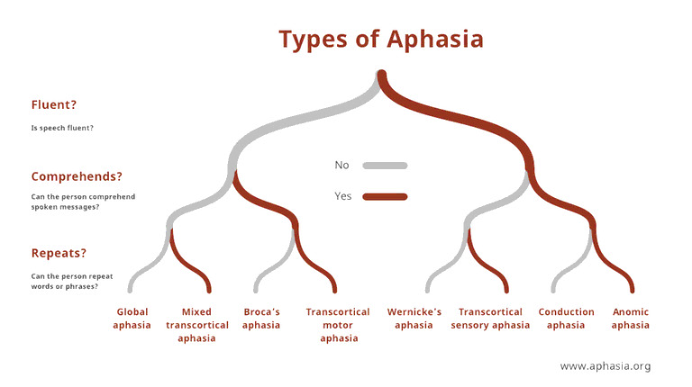 Types of aphasia. Clinical profiles of aphasia. 