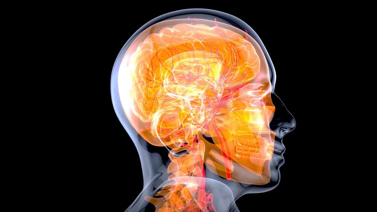 Lewy body dementia NeuronUP