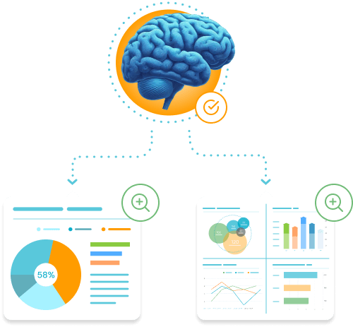 The image shows a cerebellum and two different statistics. NeuronUP Labs Brain and Cognition Research