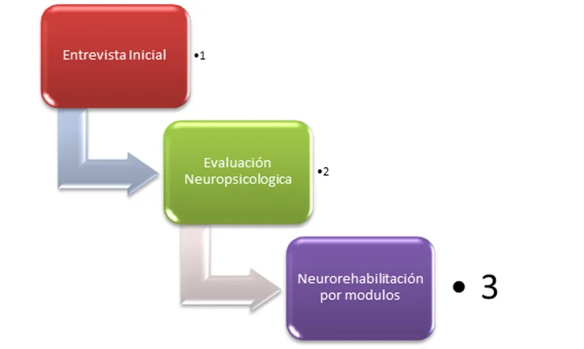 Working modality of the neuropsychological clinic