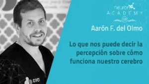 Aaaron Del Olmo   Presentation on the Brain