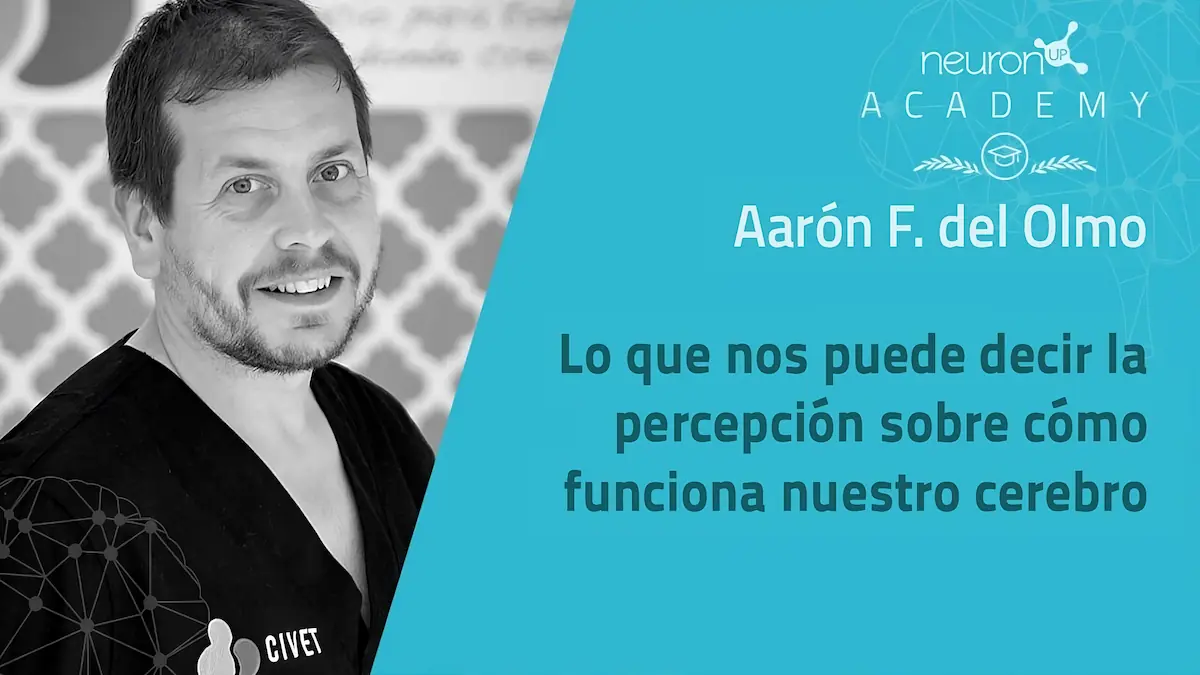 Aaaron Del Olmo   Presentation on the Brain