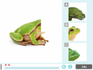 NeuronUP Activities - Complete the Image