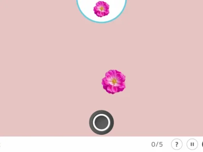 NeuronUP Activities - Pick the flowers