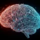 Research on prognostic stratification of Alzheimer’s disease using blood biomarkers and imaging