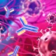 Do anti-amyloid antibodies really work for Alzheimer's disease.