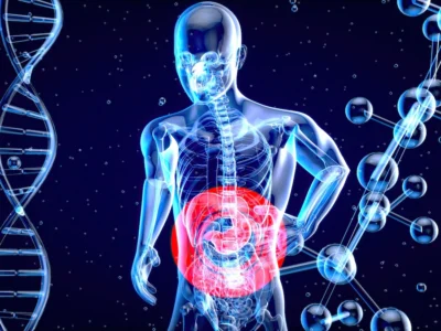 Gut microbiota and Alzheimer’s disease: the role of the gut–brain axis in cognitive decline. Relationship between gut microbiota and cognitive decline.